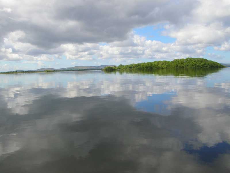 Click at the image to see other pictures!